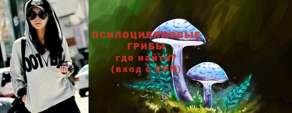 дурь Алзамай