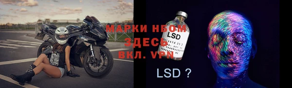 ГАЛЛЮЦИНОГЕННЫЕ ГРИБЫ Алексеевка