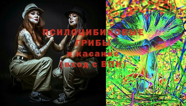 ГАЛЛЮЦИНОГЕННЫЕ ГРИБЫ Алексеевка