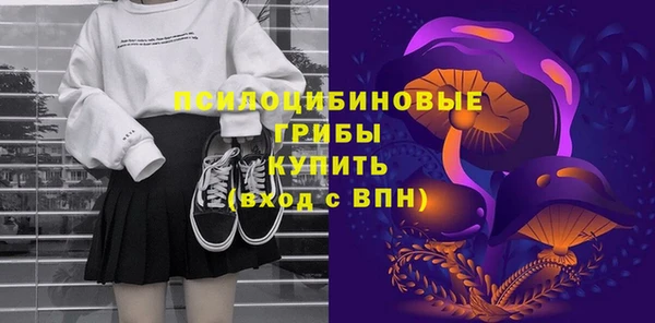 дурь Алзамай