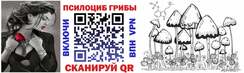 где купить   Первоуральск  Псилоцибиновые грибы Cubensis 